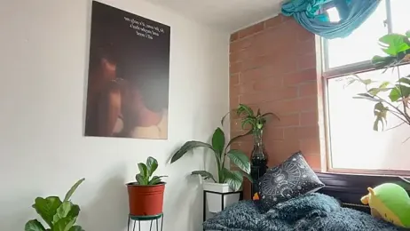 Andy_Belier23 stripchat stream image, 17.02.2026 13:00