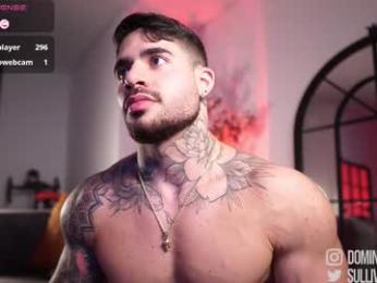dominic_sullivan1 chaturbate stream image