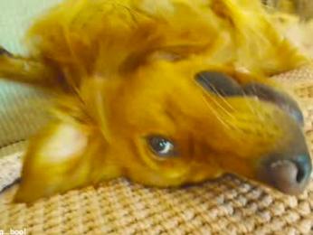 x_lily_x chaturbate stream image