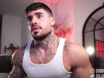 dominic_sullivan1 chaturbate stream image