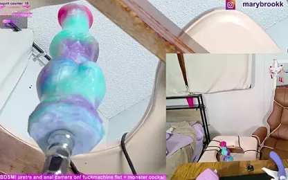 MaryBrook1 stripchat stream image