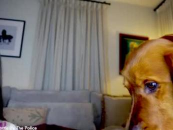 x_lily_x chaturbate stream image