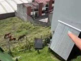 imrebecca camsoda stream image