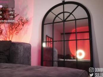 dominic_sullivan1 chaturbate stream image