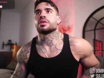 dominic_sullivan1 chaturbate stream image