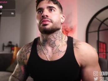 dominic_sullivan1 chaturbate stream image