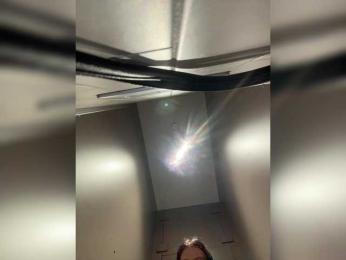 EvaRoughe bongacams stream image