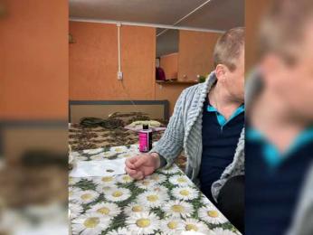 SexyBeast69 bongacams stream image, 01.06.2026 20:00