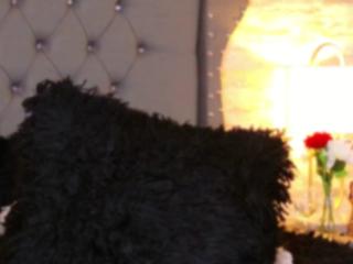 Kimberly Walton flirt4free stream image, 13.03.2025 10:10