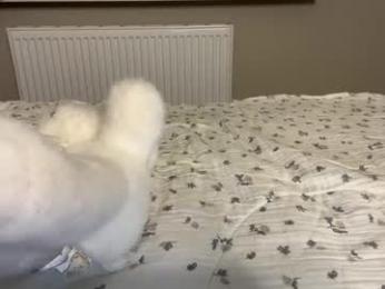 endlessmia chaturbate stream image, 15.03.2025 21:50