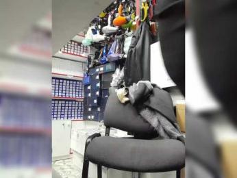 mery8poppins bongacams stream image, 08.04.2025 09:30