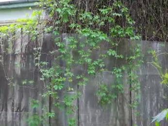 babesgowild chaturbate stream image, 26.04.2025 04:40